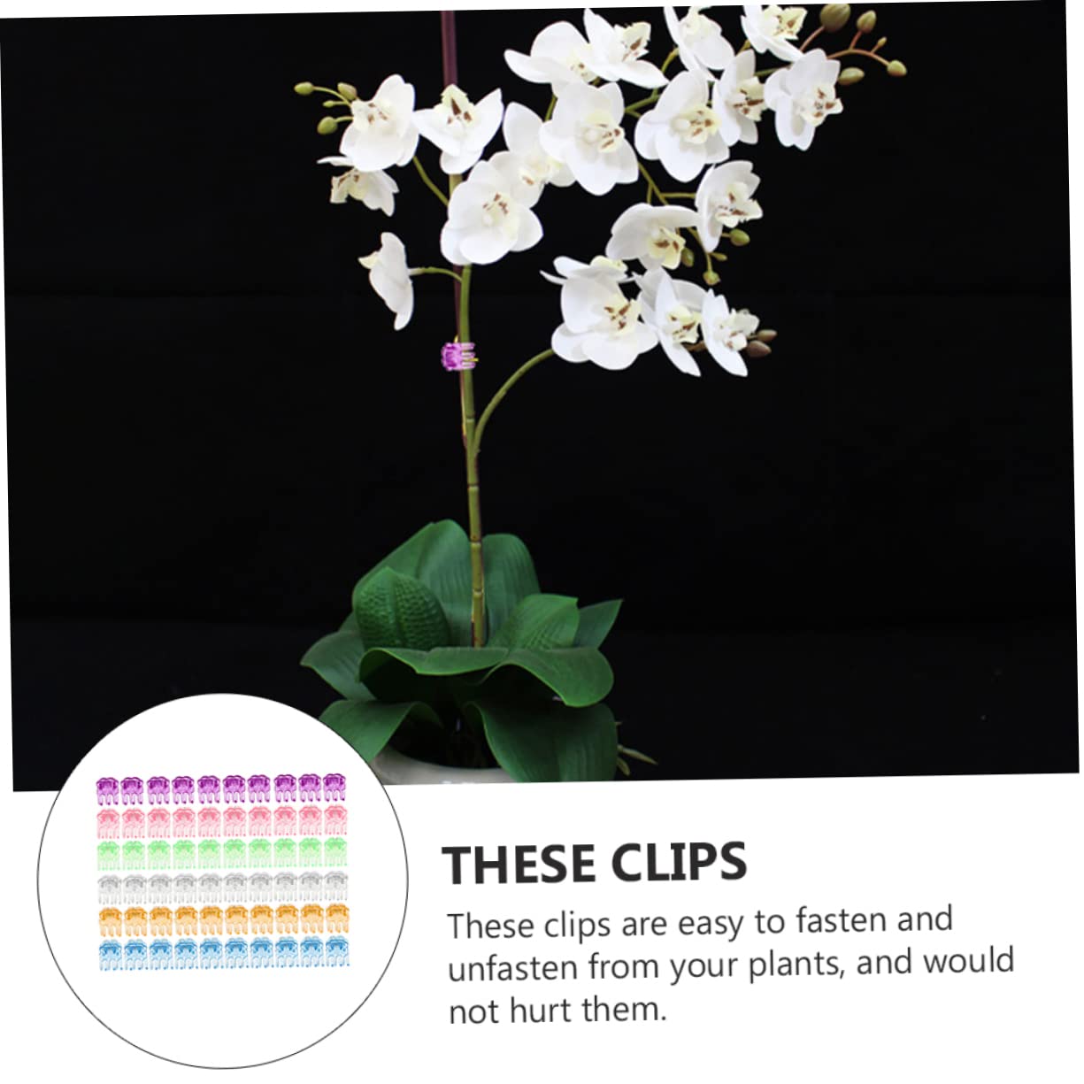 Gatuida 10 Ensembles Agrafe D'orchidée Clip De Support pour Plantes Grimpantes Clips De Support pour Plantes Piquets De Support pour Plantes Propagation Clips De Jardinage 120 Pièces * 10