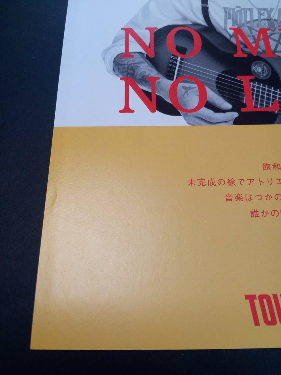 Amazon.co.jp: 降谷建志 タワレコ広告2015年Dragon Ashポスター風