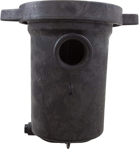 Miniatura 4 de Waterway Plastics PH1100 Hi-Flo 1 hp Bomba de piscina sobre el suelo y trampa