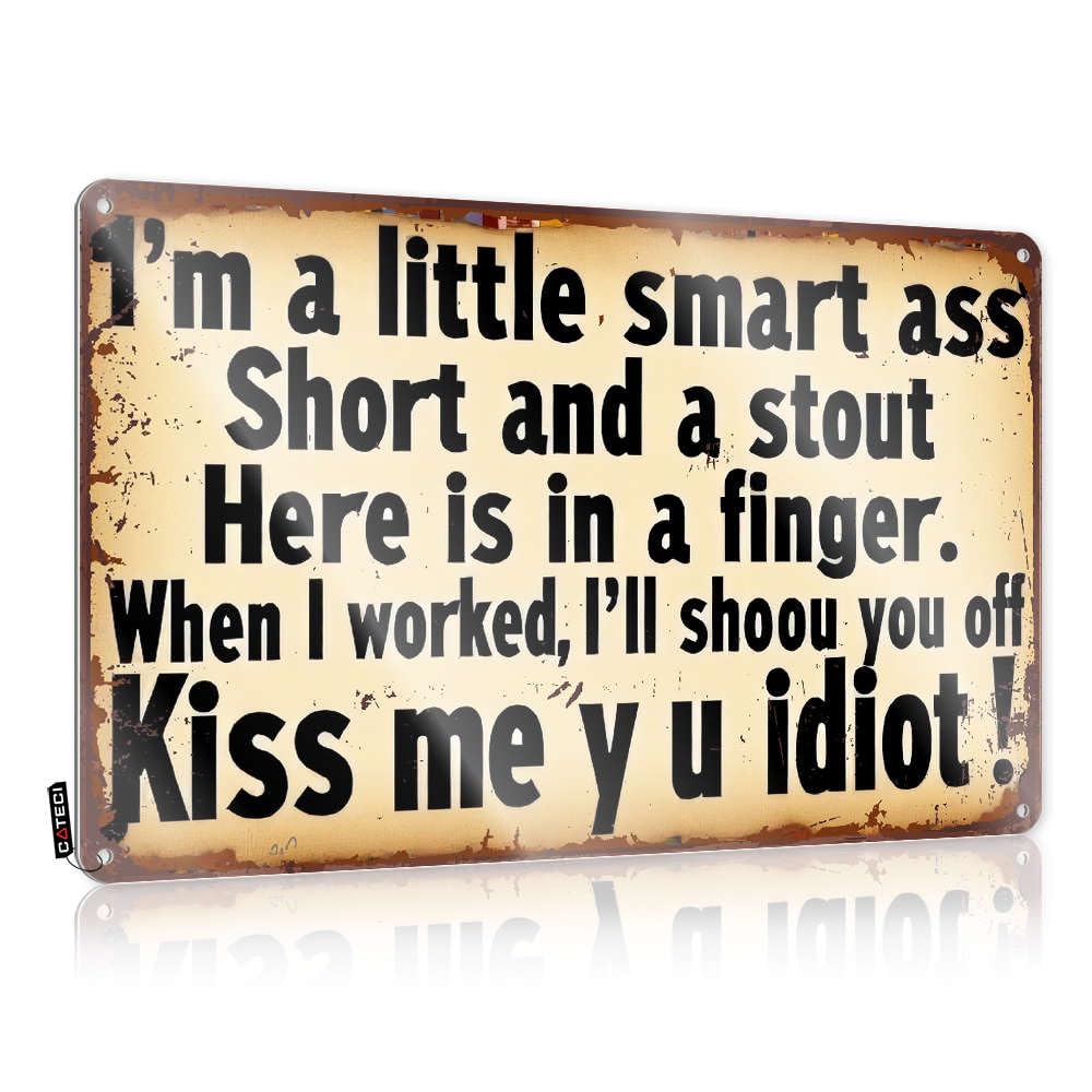 Metal Tin Sign Whimsical Fairy Cottagecore Decor Folded Edge & Western Glam Flat Print | Humorous Wall I'm A Little Smart Ass. - Funny For Women