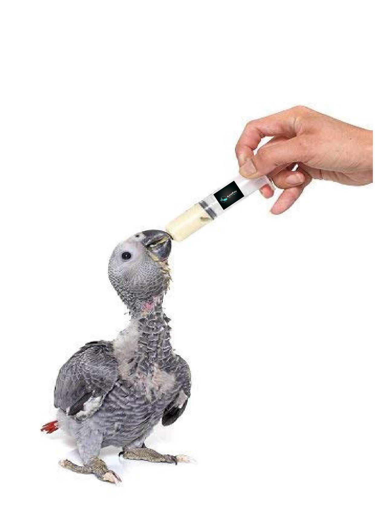 MAF Hand Feeding Syringe With Curve Tip For Baby Birds,Hamsters,Puppy,Kitten,Dog&Cat(Capacity 12 Ml Transparent) (B09NTMMV39) Amazon Price History, Amazon Price Tracker