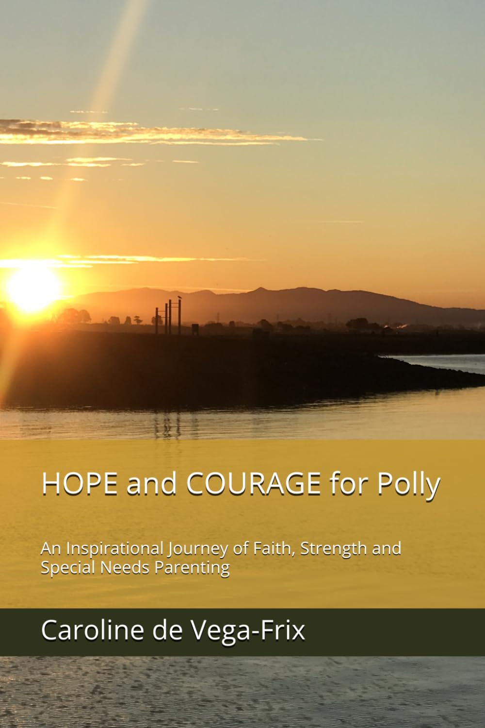 HOPE and COURAGE for Polly: An Inspirational Journey of Faith, Strength and Special Needs Parenting