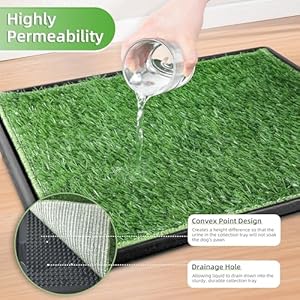   Dog-Grass-Pee-Pad-with-Tray-25x-20-Indoor-Dog-Potty-Grass-Pad-Reusable-Washable-Artificial-Grass-for-Dogs-Perfect-Potty-Training-Dog-Litter-Box-for-Indoor-Outdoor