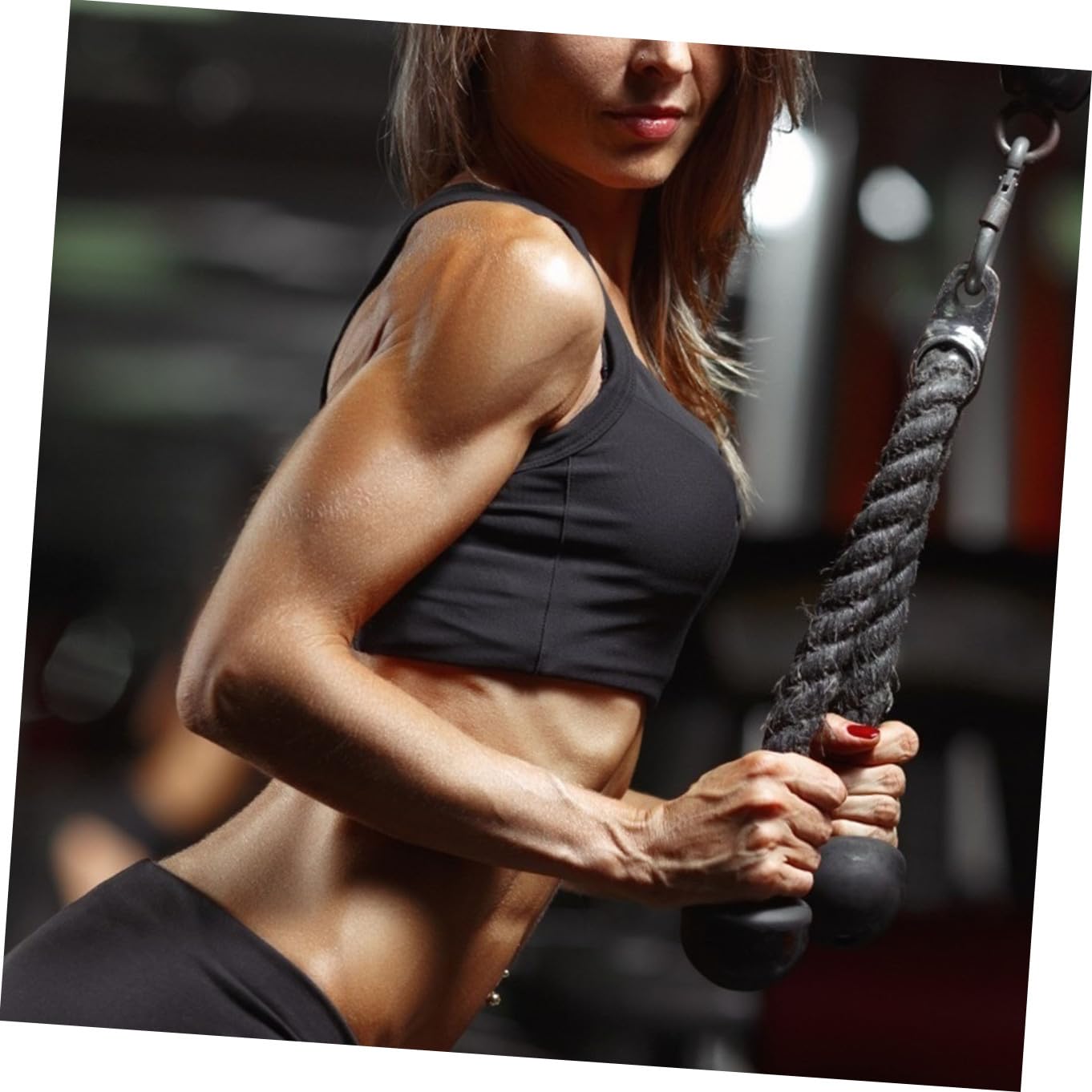 Toyvian Kit de Poleas para Tríceps Cuerda de Acero Inoxidable y Nylon, Fácil de Instalar, Portátil, para Gimnasio en Casa