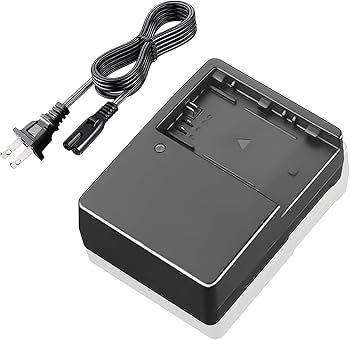 1日限定セール!Canon EOS R 本体、バッテリー、充電器のみ Amazon | KUTENG LP-E6 LP E6Nバッテリー充電器、LP充電器