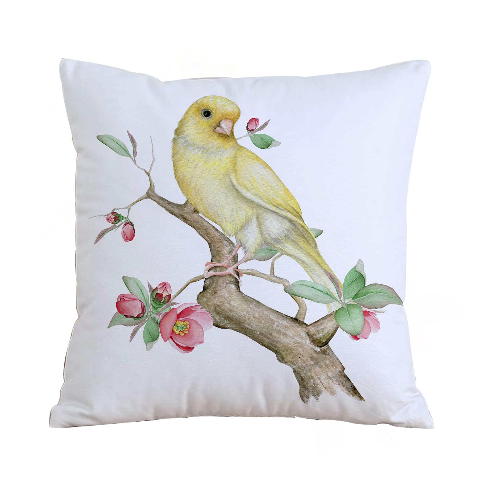 Aelksp Canary On A Flowering Branch Isolated On Whi - A6 Cushion Cover Decorations Pillow Cover Home For Livingroom Couch Sofa Decor Throw Pillow Case Gifts,Canary On A Flowering Branch Isolated On White,18X18 In