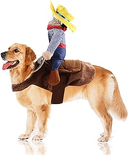 SEIS Cowboy Rider Dog Costume