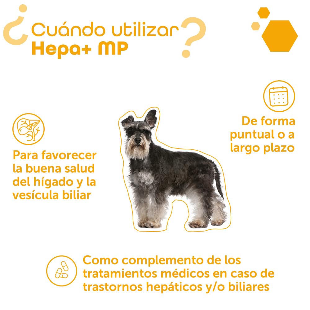 MP Labo Hepa + MP 60 cápsulas para proteger las células hepáticas y el buen funcionamiento del hígado y los conductos biliares en perros y gatos, contiene cardo mariano, ahumado y antioxidantes