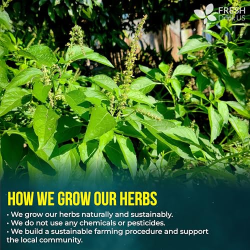 Image of FreshDrinkUS, Tulsi Sleep Tea Bags | 75 Tea Bags | Herbal Blend with Tulsi Holy Basil, Chamomile, Gotu Kola, Ashwagandha & Peppermint | Naturally Caffeine-Free, Relaxing Evening Herbal Tea. Vegan