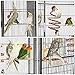 Yaheetech 69-Inch Extra Large Bird Cage Metal Parrot Cage for Mid-Sized Parrots Cockatiels Conures Parakeets Lovebirds Budgie Finch, Black