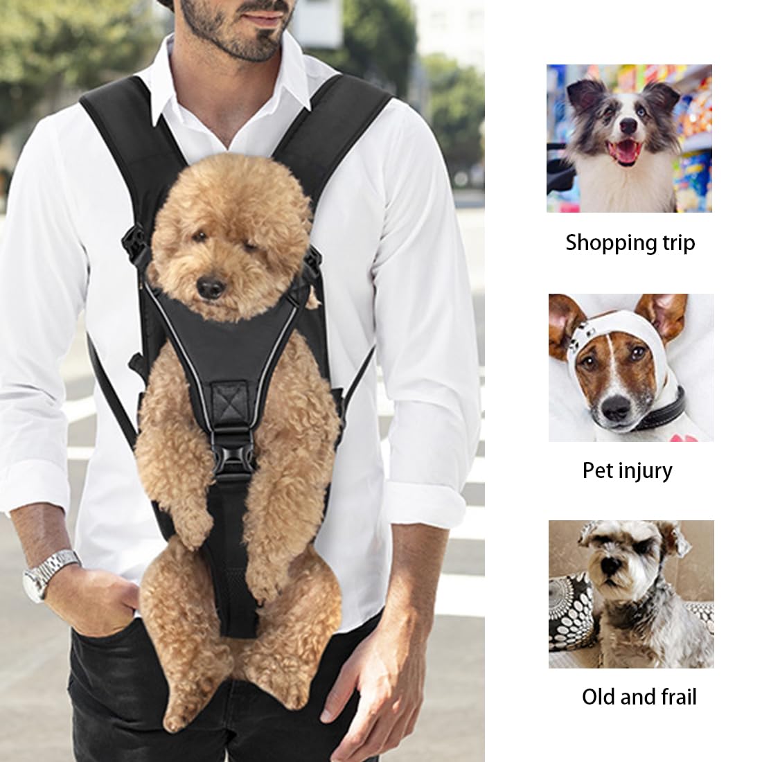 Hunderucksack Verstellbar, Tragetasche Hund, Hundetasche für Mittlere und Kleinen Hunde, Wasserdichter Hundetragetasche, Leicht Haustier Rucksack für Wandern, Radfahren, Reisen und Camping