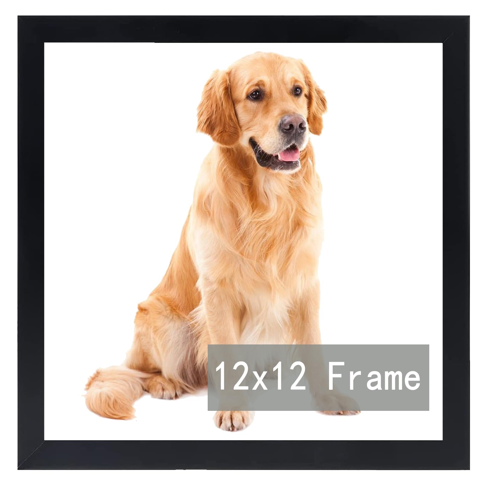 Cadre photo 30.5x30.5 cm carré pour poster affiche et galerie murale RUN HELIX