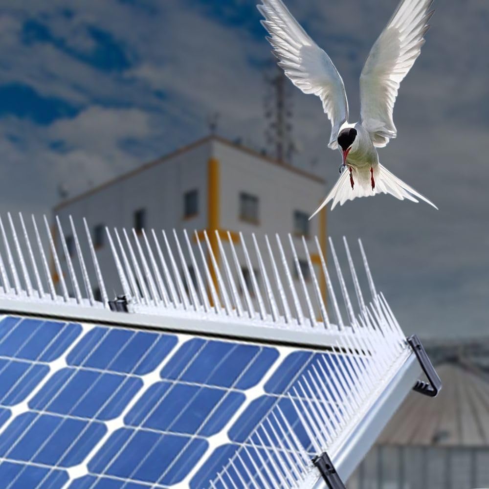 Solar Panel Anti Bird Spikes for Pigeon Protection (Pack of 20) | UV Resistant Polycarbonate Bird Barrier | No Drill Easy Clip Installation | Prevent Nesting Under Solar Panels-image-12