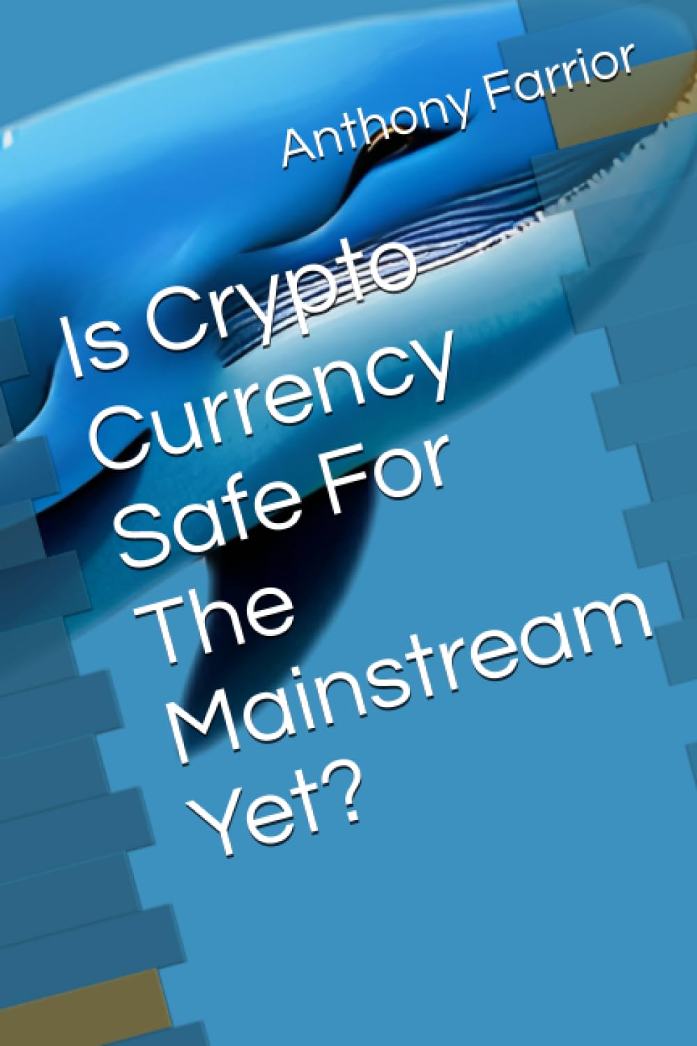 Is Crypto Currency Safe For The Mainstream Yet? : Farrior, Anthony:  Amazon.com.au: Books