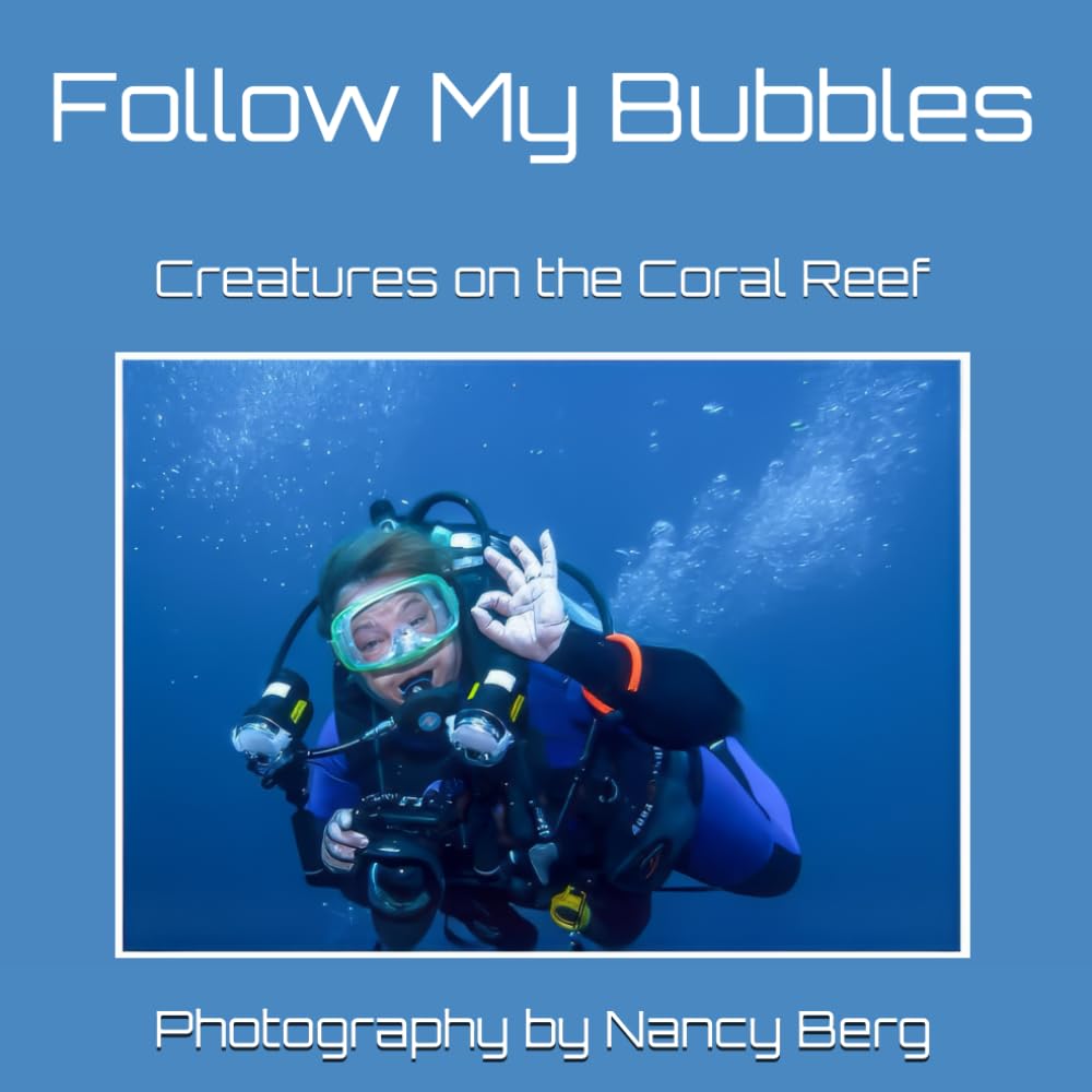 Follow My Bubbles: Creatures on the Coral Reef Livre Éveil Écrans