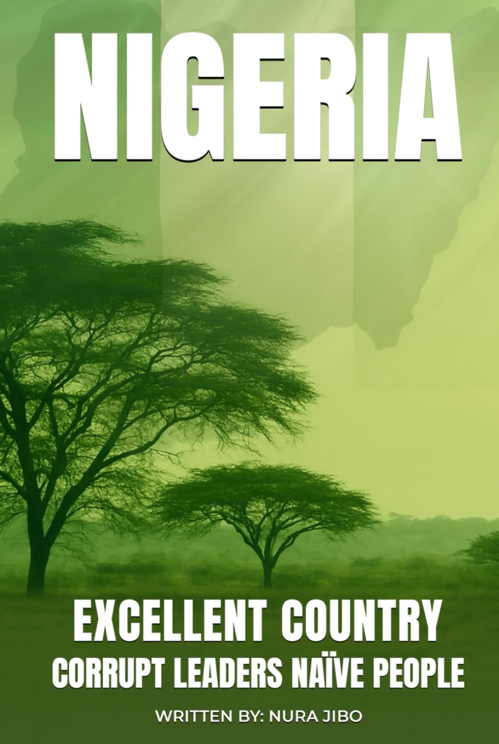 Nigeria Excellent Country: Corrupt Leaders Naïve People