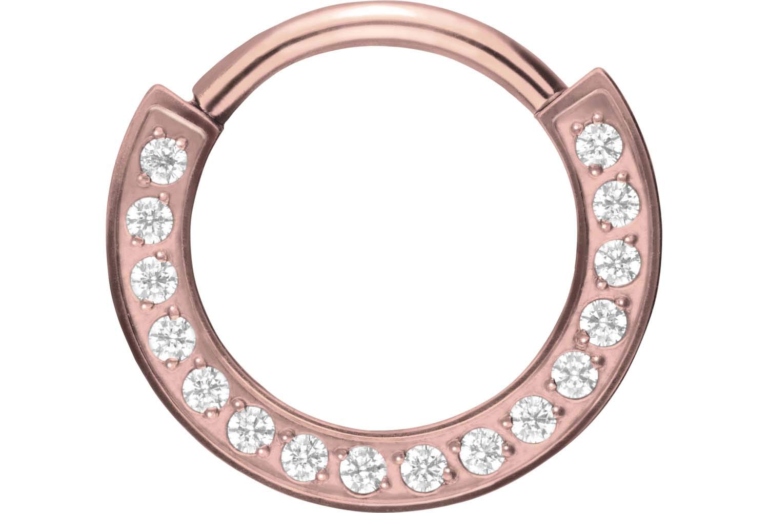 PIERCINGLINE Titan Segmentring Clicker | KRISTALLRAND | Ring Nase Septum Ohr Helix | Farb & Größenauswahl