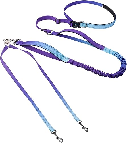 Miniatura 20 de Roses&Poetry - Correa para perro manos libres para perros medianos y grandes, resistente, sin tirón, correa elástica para correr y pasear, con