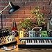MOOG Grandmother Semi-Modular Analog Keyboard Synthesizer with 32 Keys, Built-In Arpeggiator, Sequencer and Spring Reverb Tank