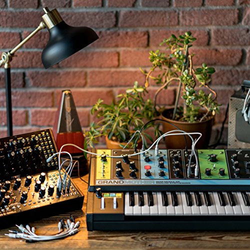 MOOG Grandmother Synthesizer - Image 6