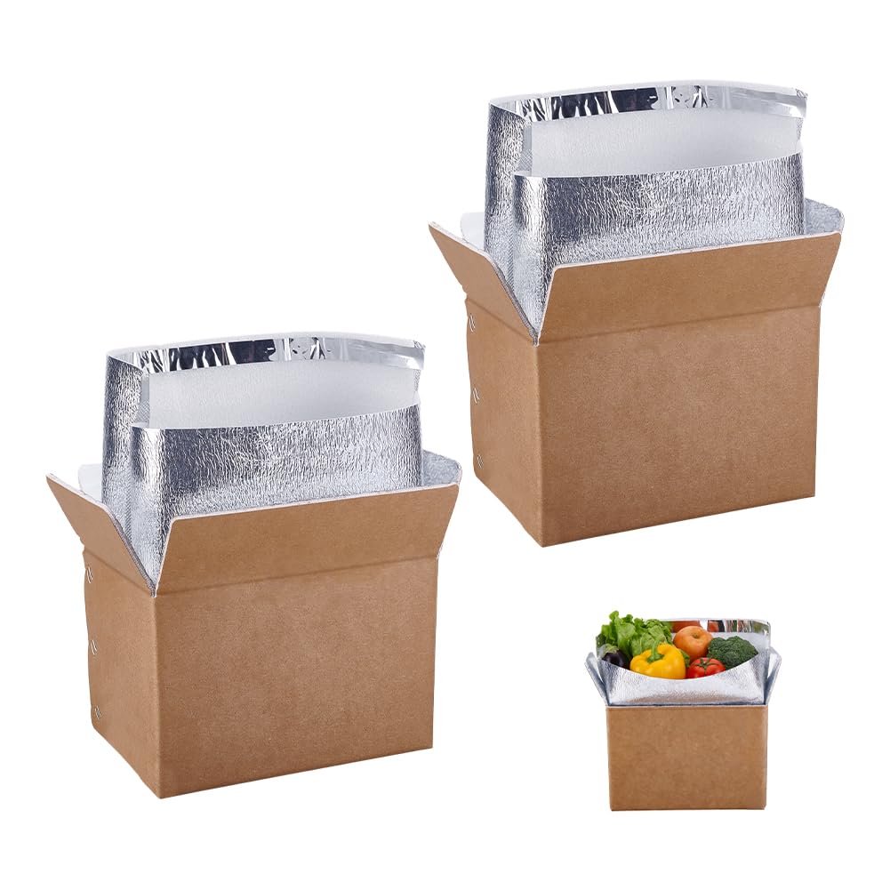 AHANDMAKER 2 Packung Isolierte Versandboxen Mit Aluminiumfolienauskleidung Isolierte Beutelauskleidung Wärmeisolierung Kühlakku Versandboxen Für Gefriergut Wiederverwendbare Kühlbox