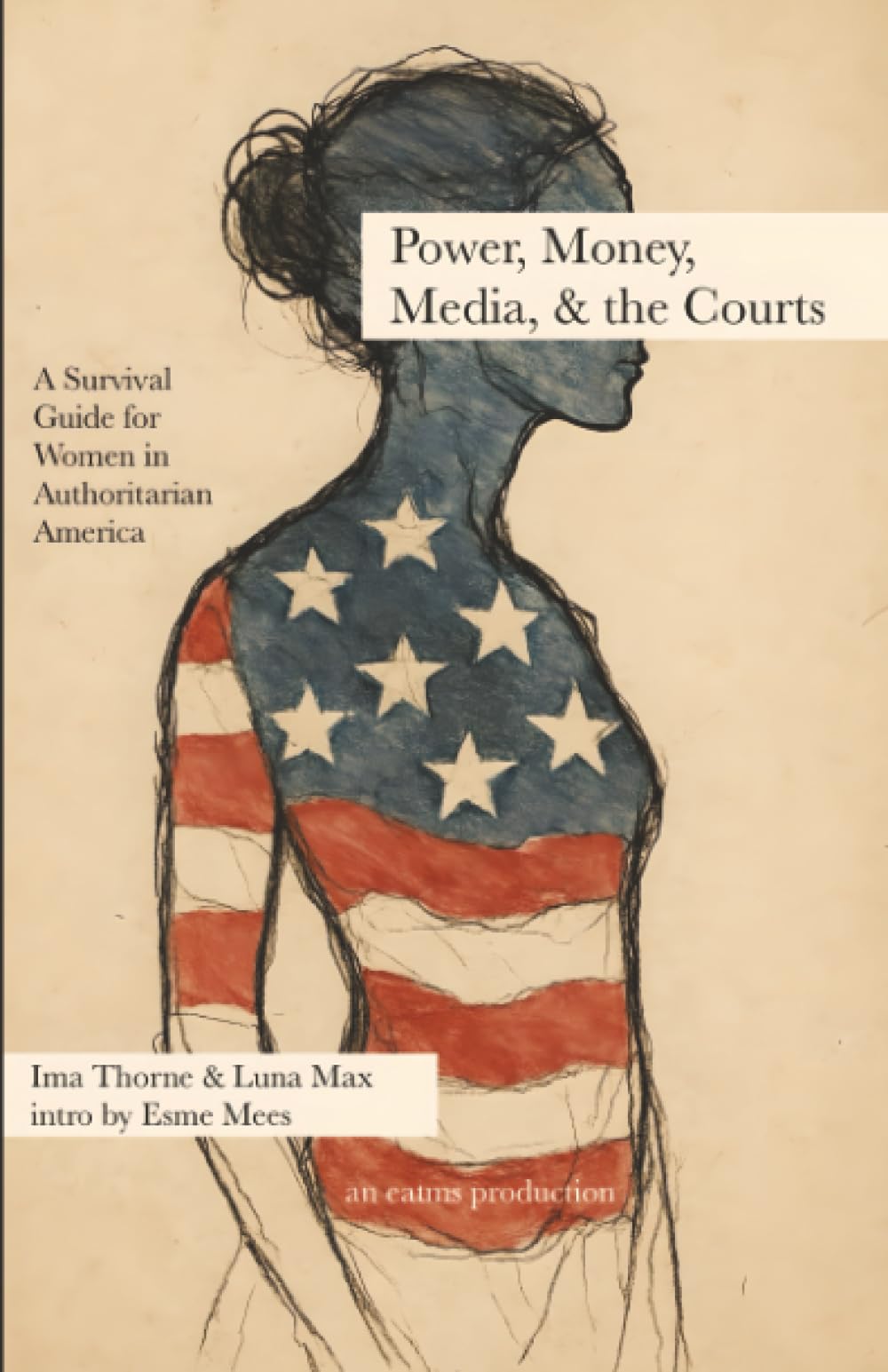 Power, Money, Media, & the Courts — Civics Book 4: A Survival Guide for Women in Authoritarian America