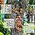 Mood Lab Tree Face Decor - Outdoor Bird Feeder - Old Man Face Decoration with Flowers - Tree Garden Hugger - Yard Art Statues