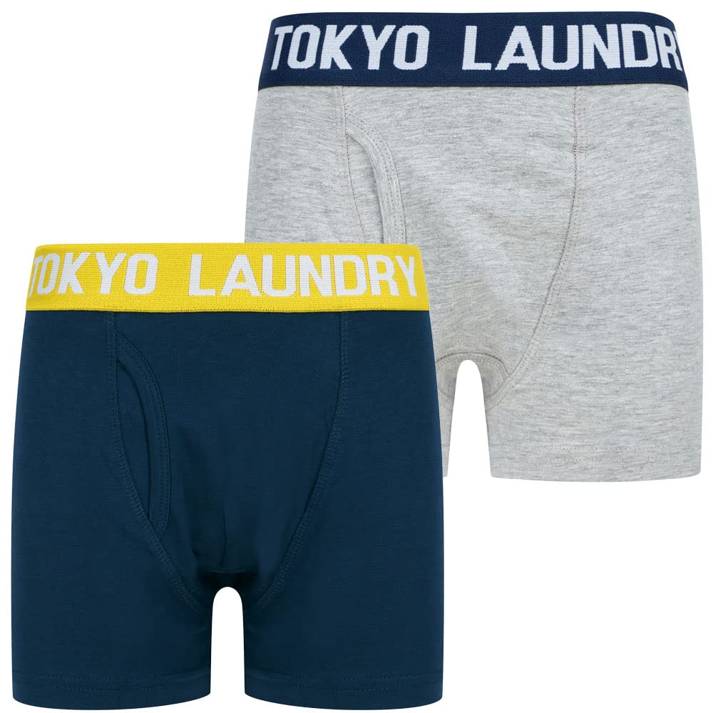 Tokyo Laundry Boys Mood Indigo / Light Grey Marl 'S Levens (2 Pack) Boxer Shorts Set