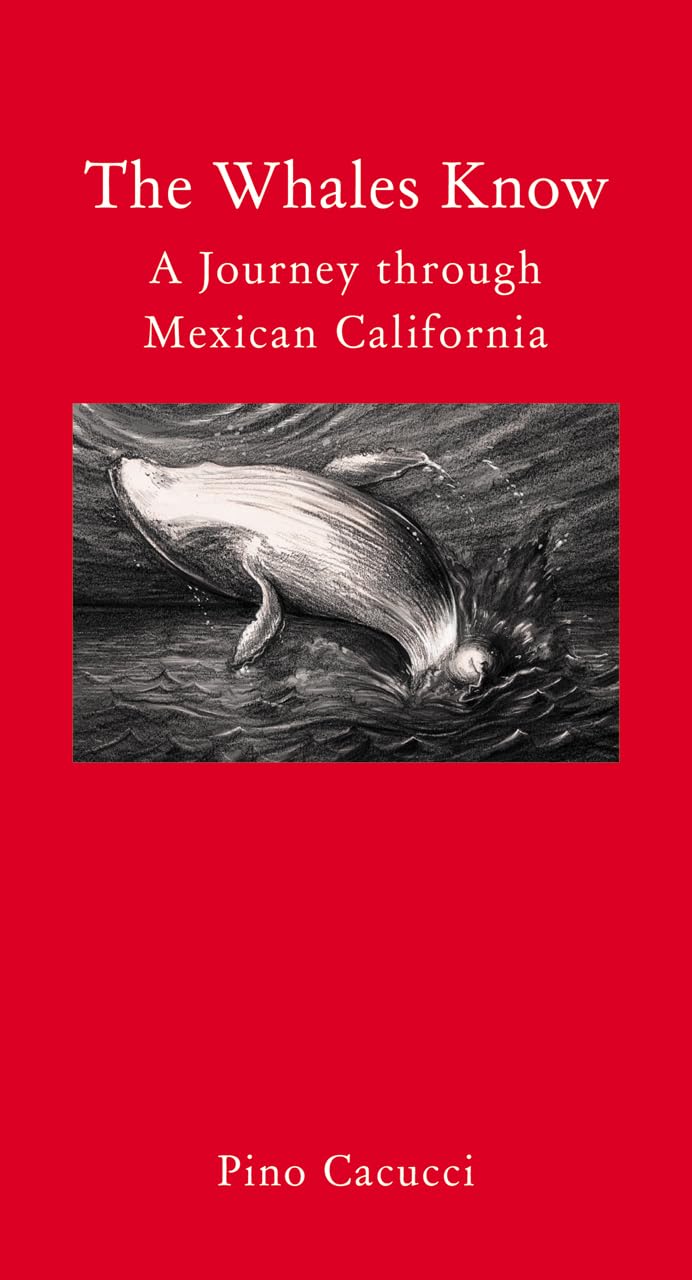 The Whales Know: A Journey through Mexican California (Armchair Traveller)