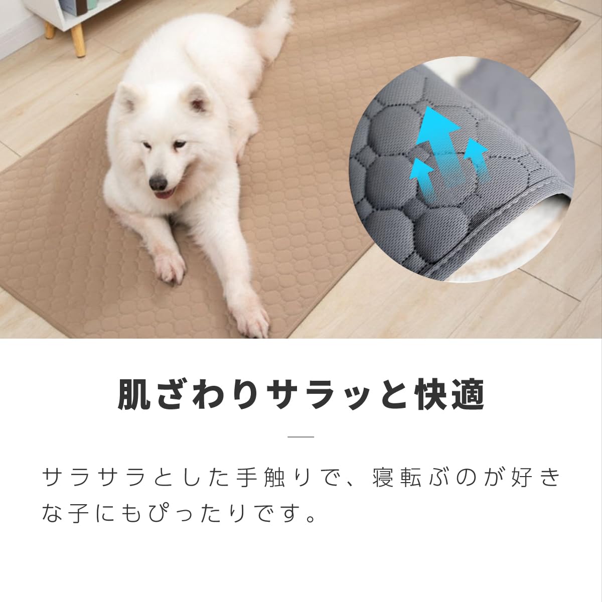 Amazon | ペットシーツ 洗える 超吸収 漏れ防止 厚型 厚手 大判 トイレ