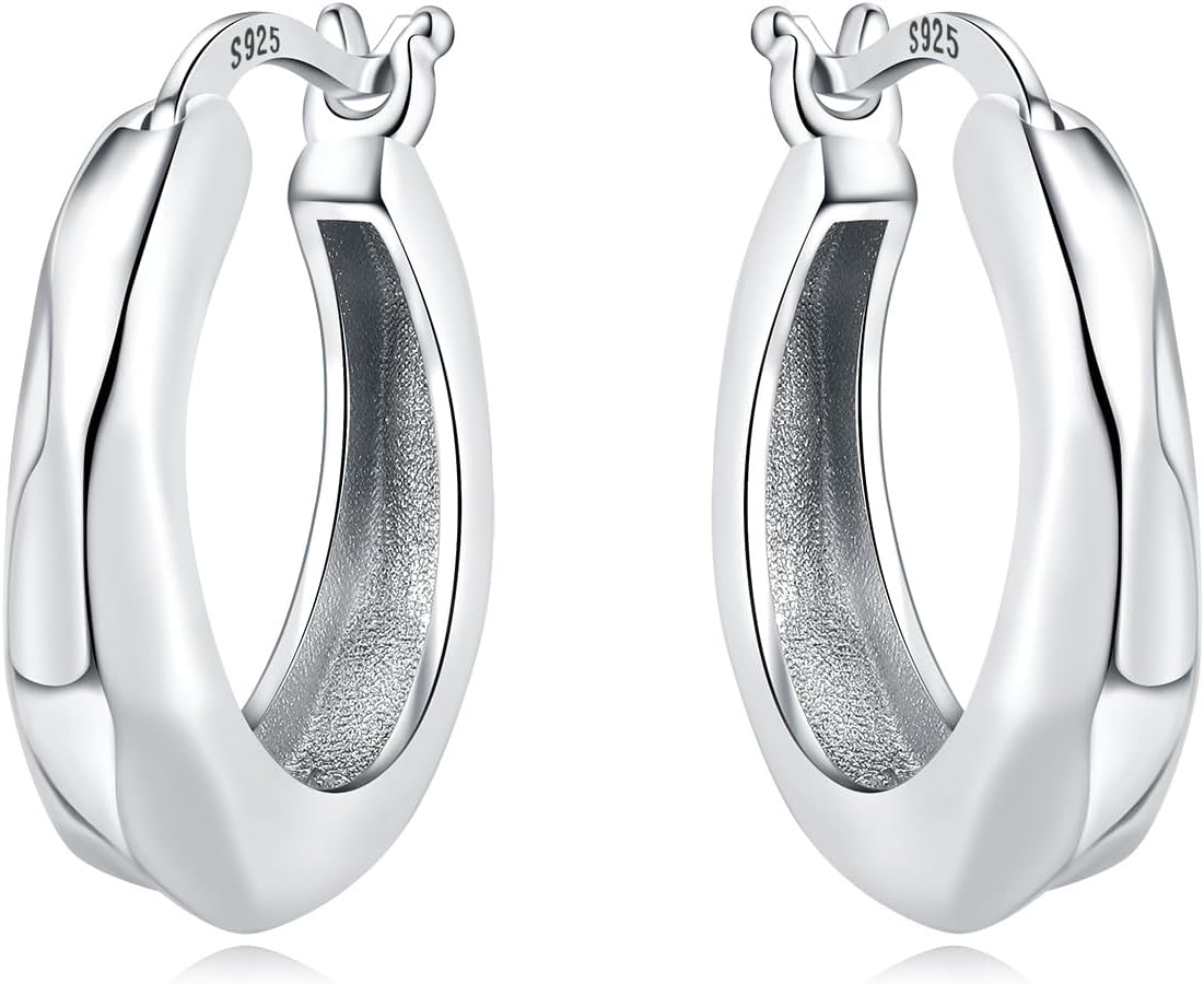 925 Sterling Silver Hoop Earrings for Women, Small and Large Trendy Hoops Hypoallergenic Huggie Earrings Statement Fashion Jewelry Gifts for Sensitive Ear - Double Loop