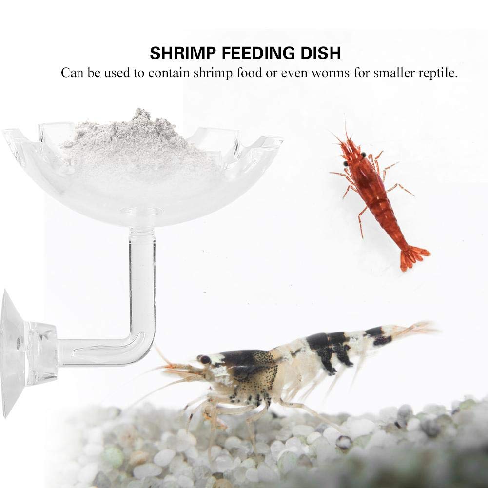 Shrimp Futternapf Acryl Sucker Cup Design Aquarium Bowl Tray Wasser Lebensmittel Kleiner Reptil Würmer Haustiere Dish Feeder Bowl