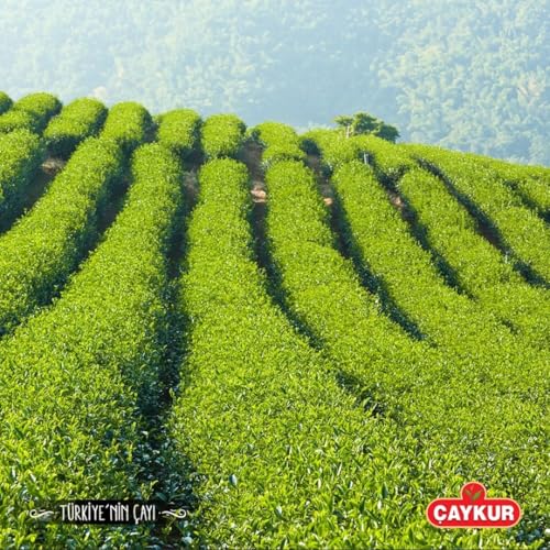 Caykur Schwarzer Tee Rize Turist Cayi, 1er Pack (1 x 500 g)