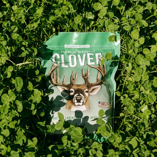 Image of Whitetail Institute Imperial Clover Food Plot Seed (Spring and Fall Planting), 4-Pound (1 /2 Acre)