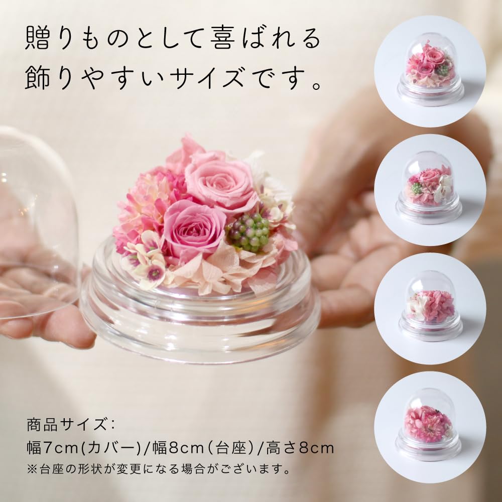 Amazon｜プリザーブドフラワー プチドーム プリザードフラワー 桃