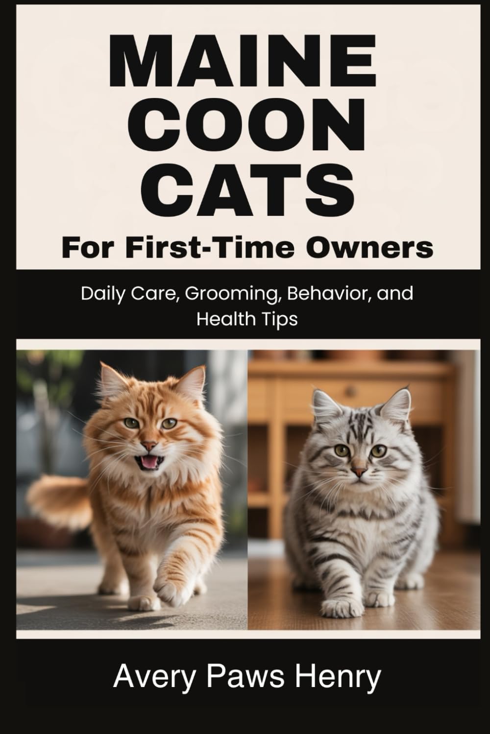 Maine Coon Cats for First-Time Owners: Daily Care, Grooming, Behavior, and Health Tips