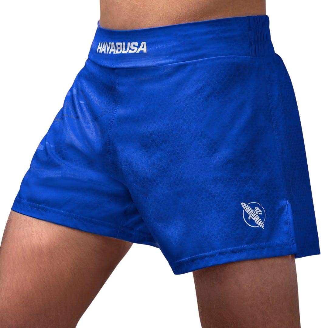 Hayabusa Arrow Kickbox-Shorts