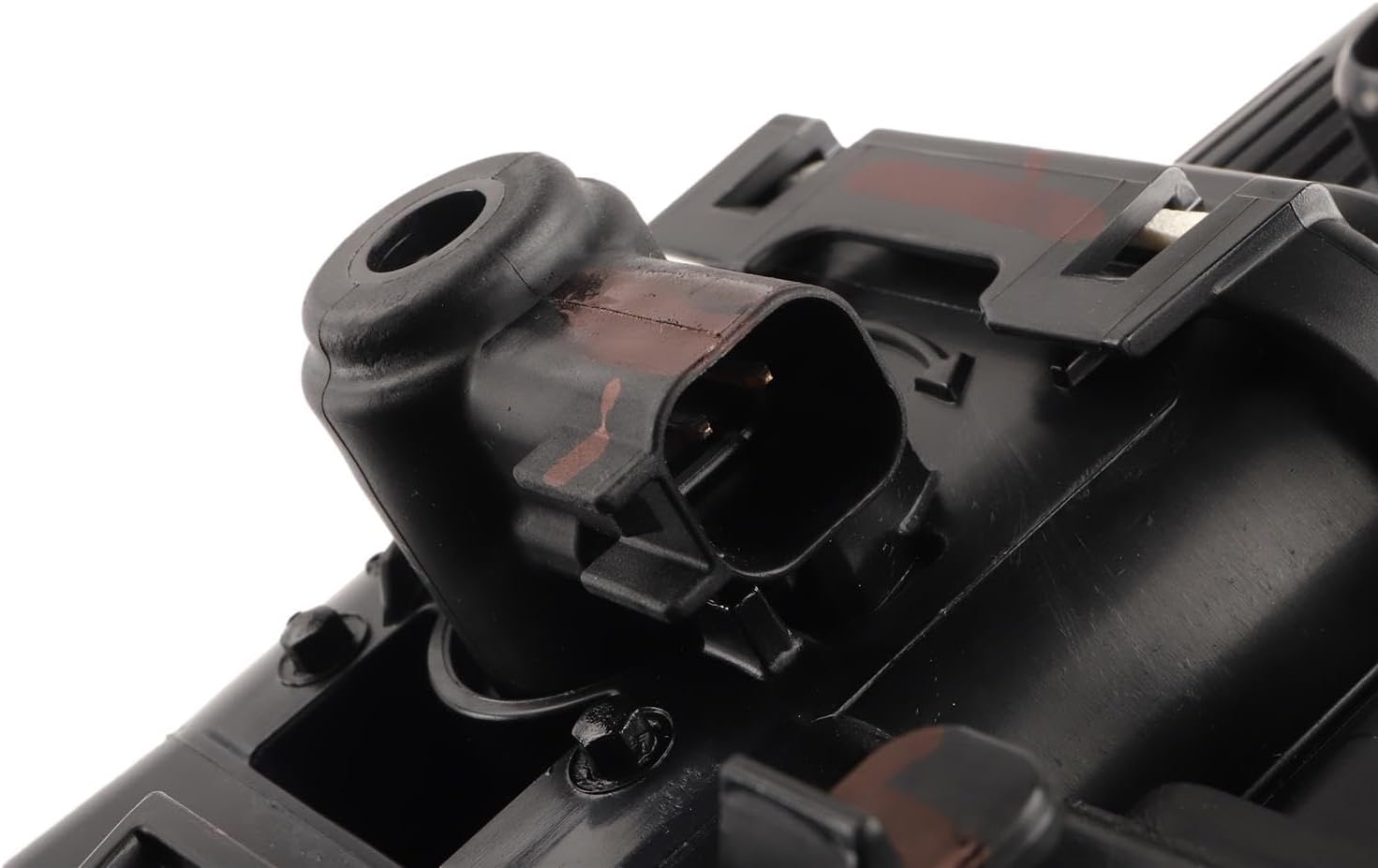 ネッター解剖学図譜プロが、使用(古書)基本的かわらず。 ネッター解剖