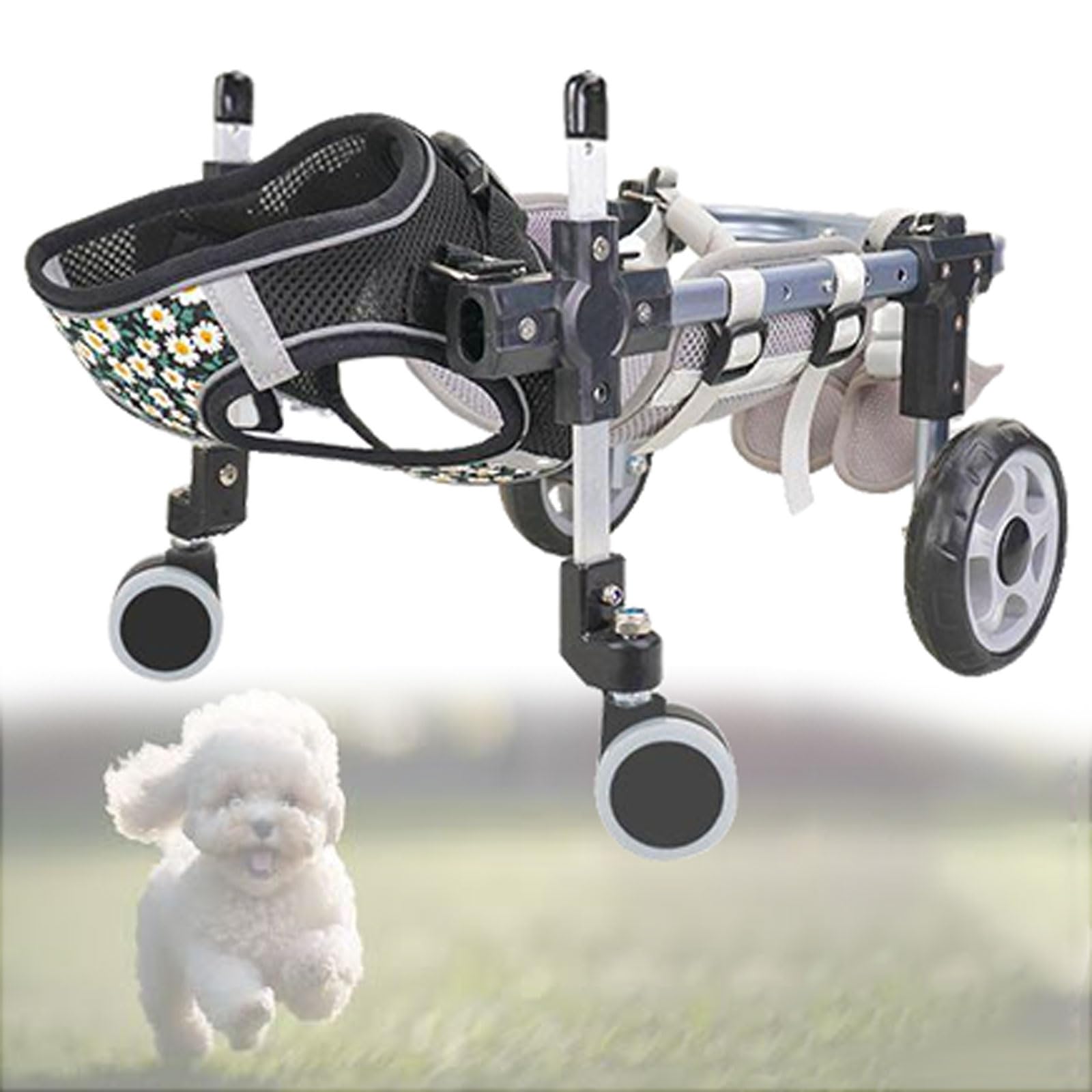 Fauteuil roulant pour chiens XS | Offrez une seconde vie de liberté à votre animal