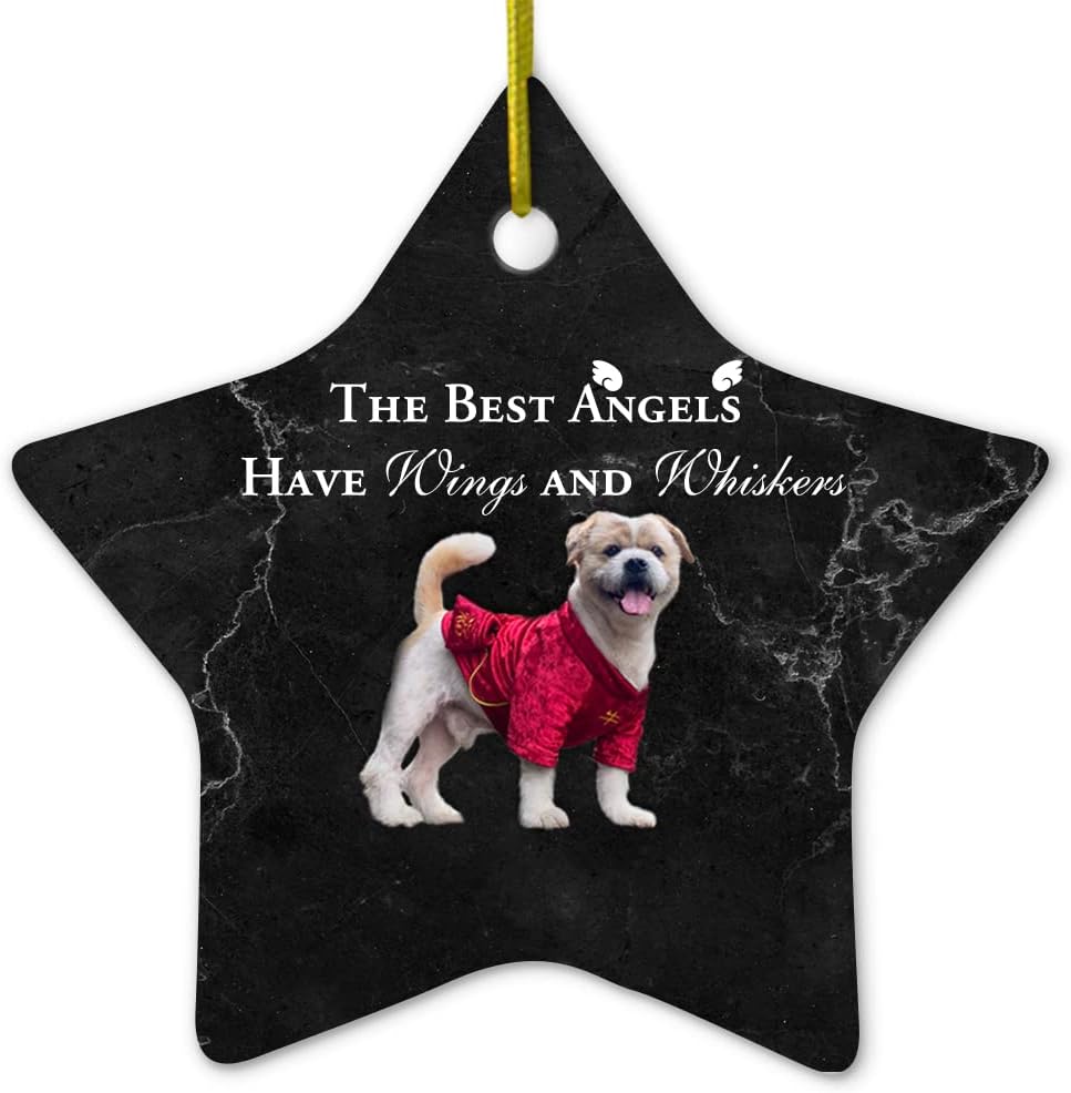 Customized Pet Memorial Ornament - The Best Angels Have Wings and Whiskers - Pet Loss Sympathy Gift - Cat Dog Memorial Gifts - Ceramic Ornament Keepsake for Christmas Tree Decor - Star