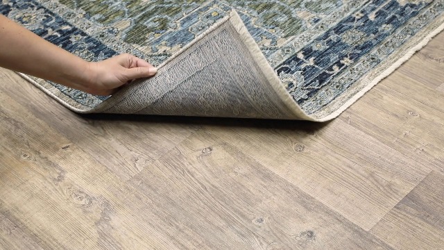 Amazon.com: Oriental Weavers Aberdeen Area Rug - 051G1-5'3