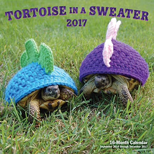 Tortoise in a Sweater 2017 calendar