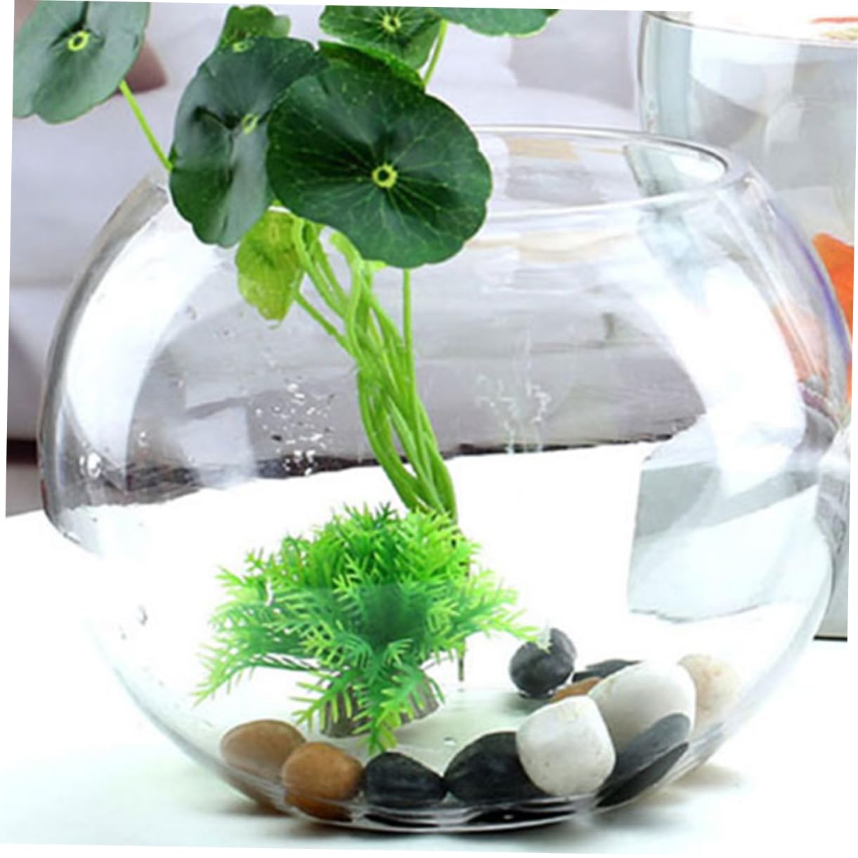 POPETPOP Aquarium en Verre Bocal à Poisson De Table Bocal à Poisson Vase Rond Vase en Cercle Aquarium De Bureau Vases Ronds Bol Hydroponique Un Verre Transparent