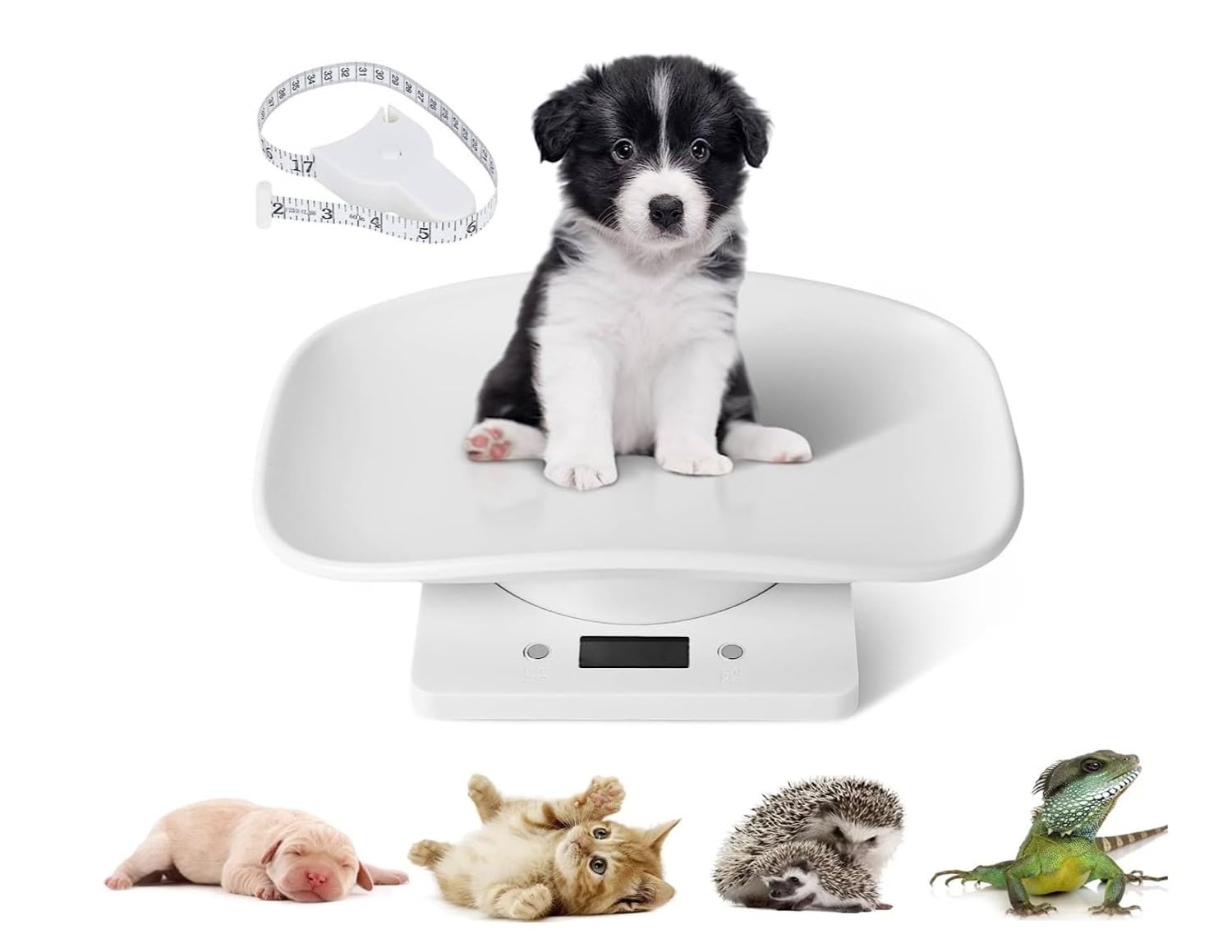 Digital Pet Scale, with Height Tray Measure Accurately