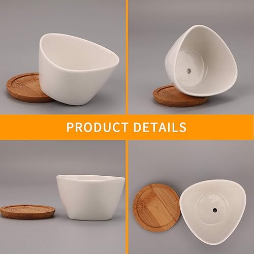 Miniatura 3 de Succluent Macetas, macetas pequeñas con drenaje, macetas de cerámica con bandeja de bambú para cactus (paquete de 12)