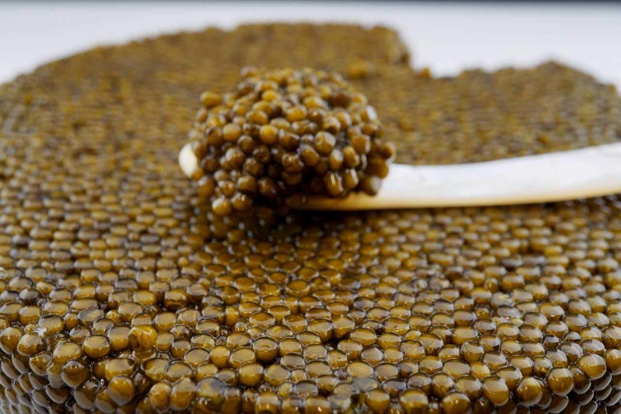 Imperial Caviar Selection (Beluga Hybrid Caviar) Allevamento CN – 125g