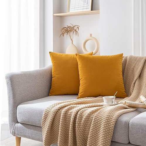 Miniatura 3 de Rythome Juego de 2 fundas de almohada de terciopelo para sofá y cama, 16 x 16 pulgadas, caléndula