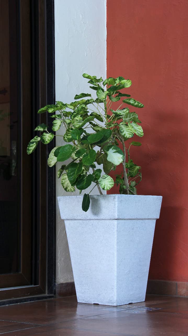 See full amazon price history chart for Super Lifestyle 16 Inch Pots for Plants Lightweight & Durable Polymer Suitable for Indoor Outdoor Home & Garden Decor Flower Pot Gamla Tree Planter Container for Balcony & Terrace (White Marble) Super Lifestyle 16 Inch Pots for Plants Lightweight & Durable Polymer Suitable for Indoor Outdoor Home & Garden Decor Flower Pot Gamla Tree Planter Container for Balcony & Terrace (White Marble) (B0C1JMSQNS) Amazon Price History, Amazon Price Tracker