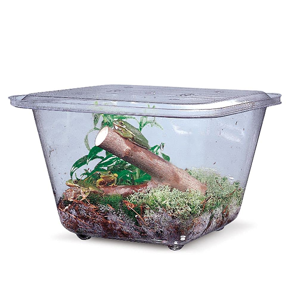 Aquarium/Terrarium, Plastic, 1 gal Science Lab Aquariums