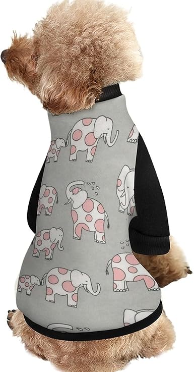 boy dog clothes amazon